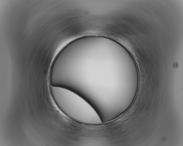 X0000090931440200707301106