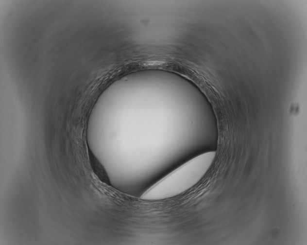 X0000090931441200707301105
