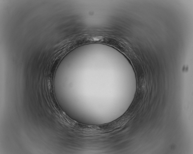 X0000090931442200707301105