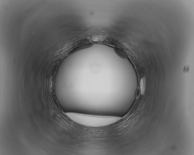 X0000090931443200707301105