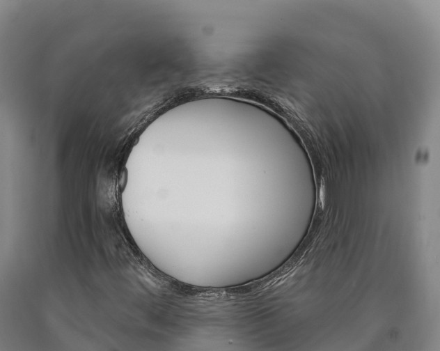 X0000090931444200707301105