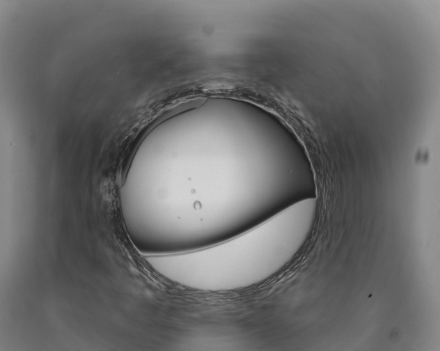 X0000090931445200707301105