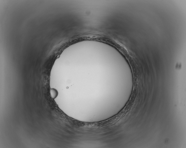 X0000090931447200707301105
