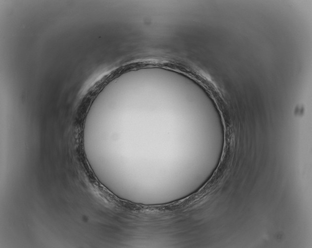 X0000090931448200707301105