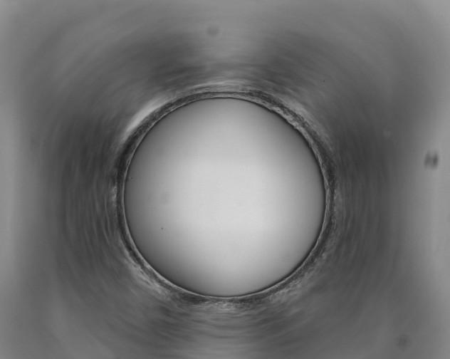 X0000090931450200707301105