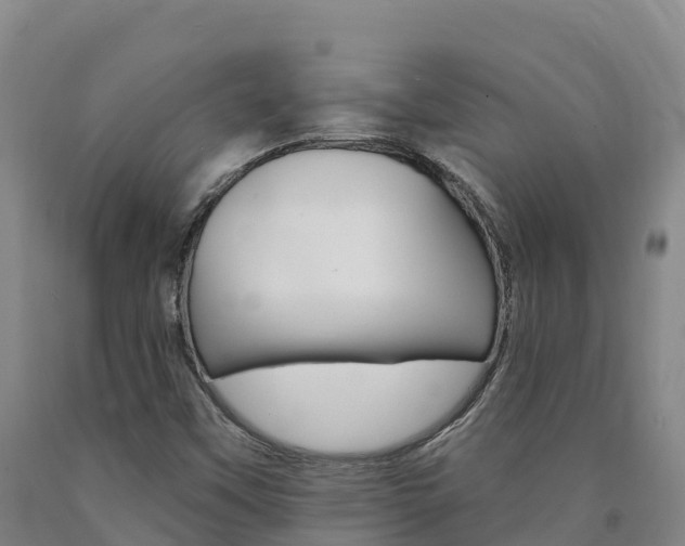 X0000090931451200707301105