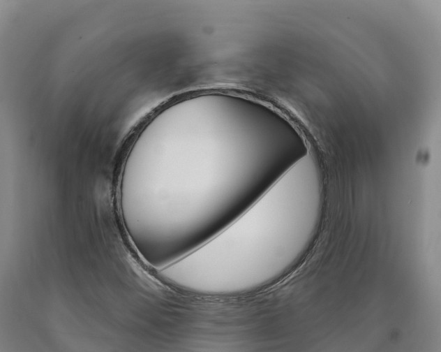 X0000090931452200707301105