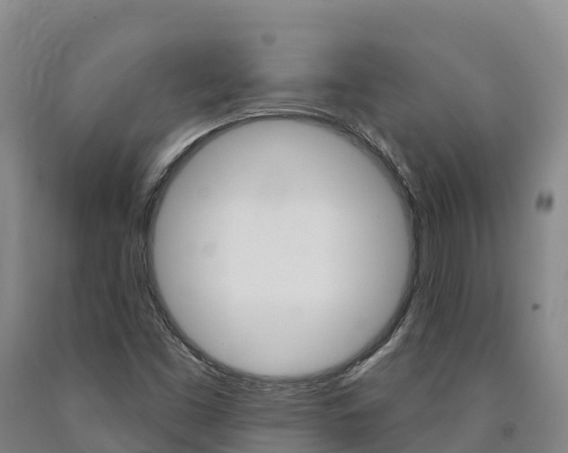 X0000090931453200707301105