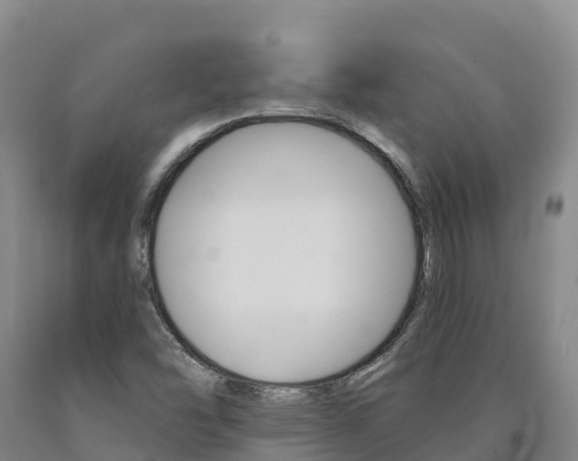 X0000090931454200707301105