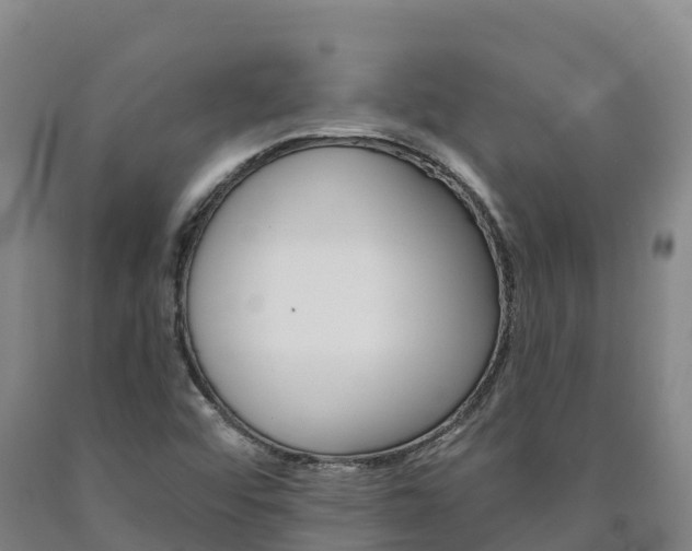 X0000090931456200707301105