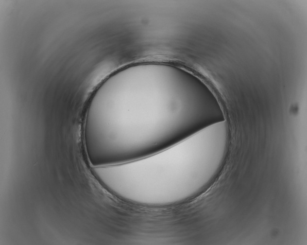 X0000090931459200707301105