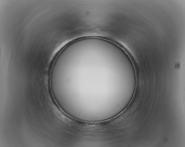 X0000090931460200707301105