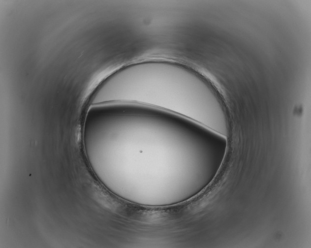 X0000090931461200707301105