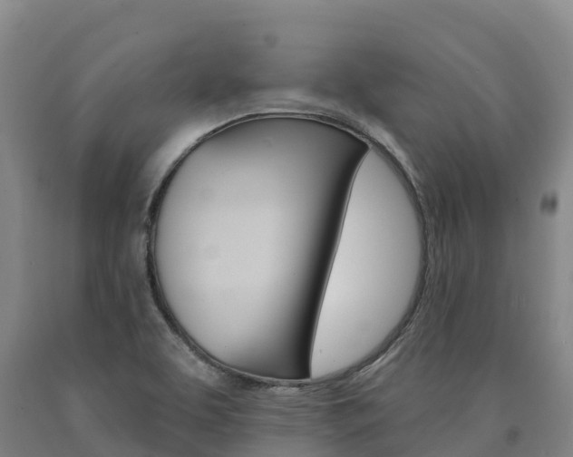 X0000090931463200707301105