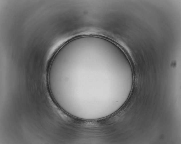 X0000090931464200707301105