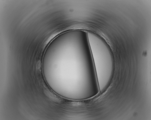 X0000090931465200707301105