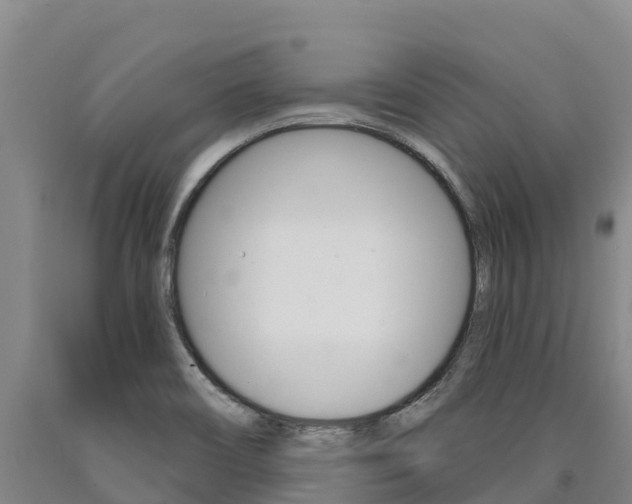 X0000090931466200707301105