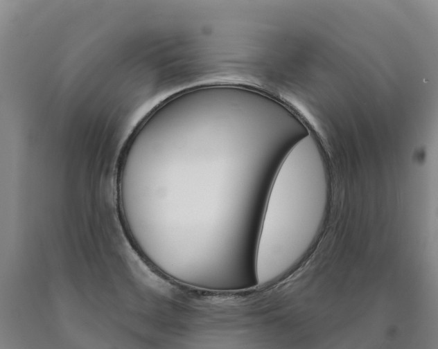 X0000090931468200707301105