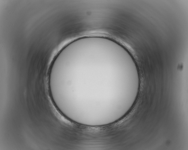 X0000090931470200707301105
