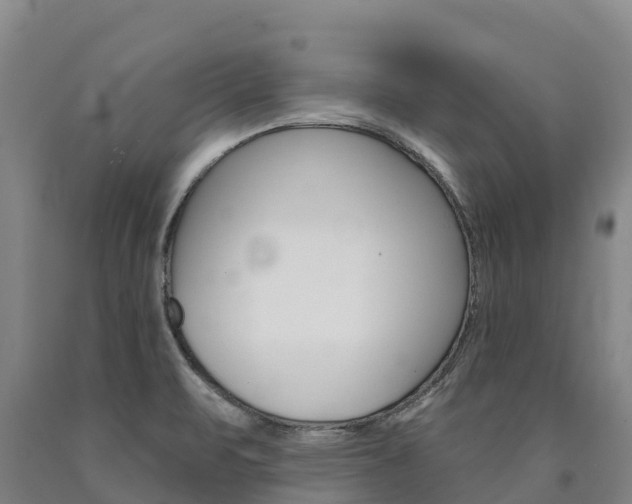 X0000090931471200707301105