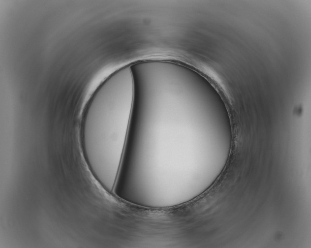 X0000090931472200707301105