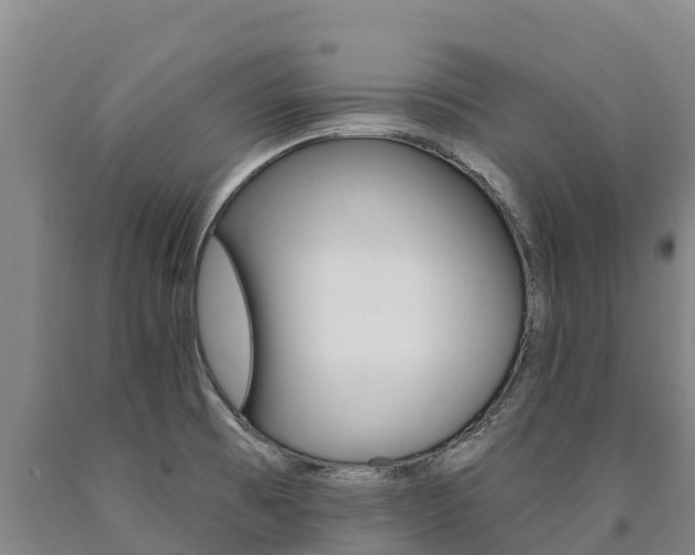 X0000090931473200707301105