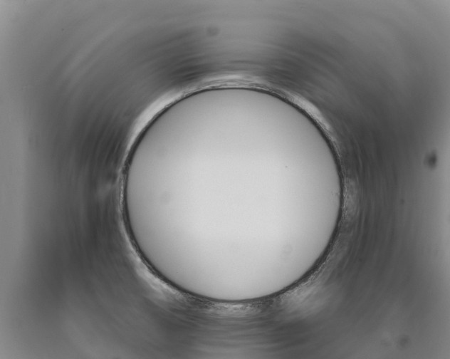 X0000090931474200707301105