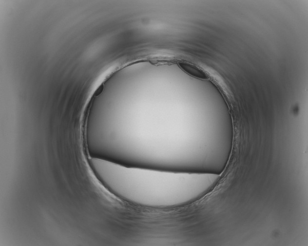 X0000090931475200707301105