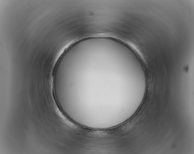 X0000090931476200707301104