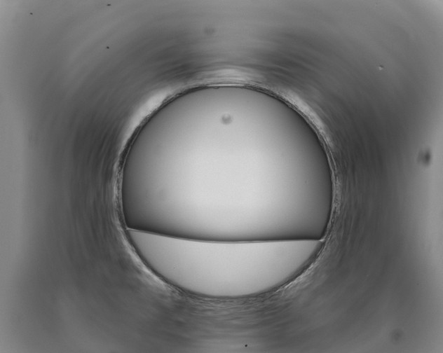 X0000090931477200707301104