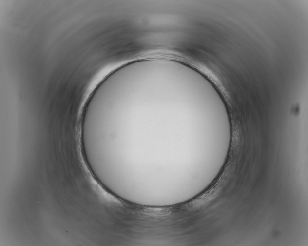 X0000090931478200707301104