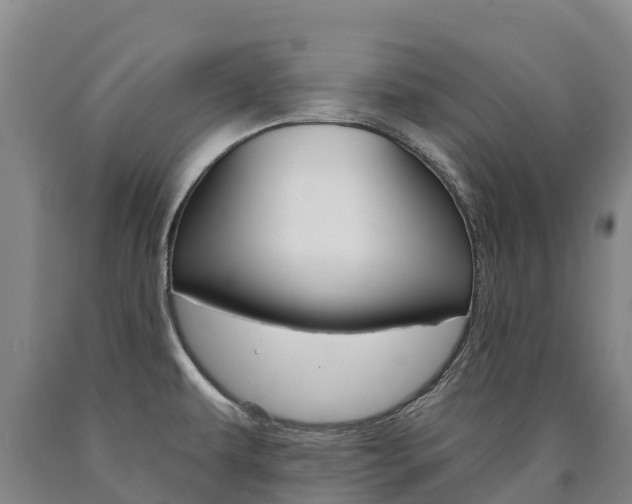 X0000090931479200707301104