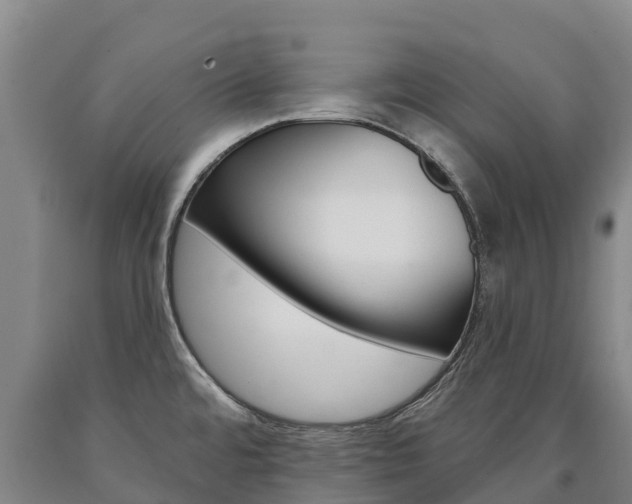 X0000090931480200707301104