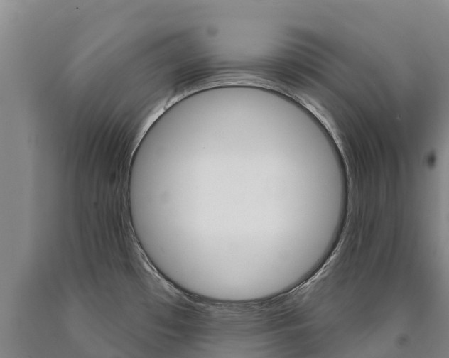 X0000090931481200707301104