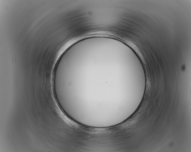 X0000090931482200707301104