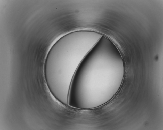X0000090931484200707301104