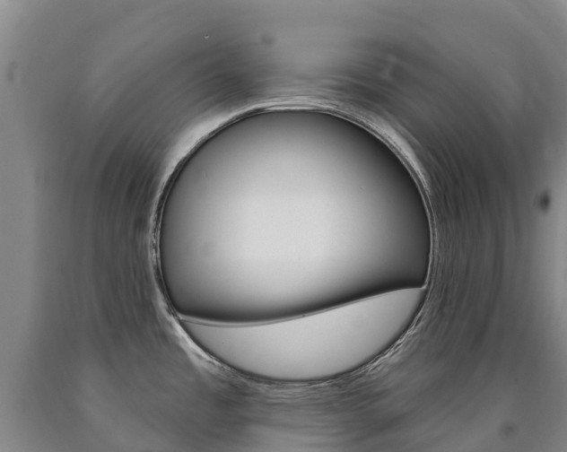 X0000090931485200707301104