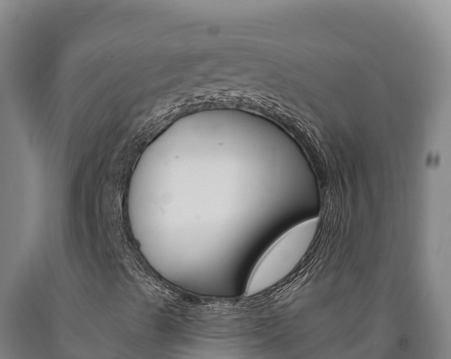 X0000090931489200707301104