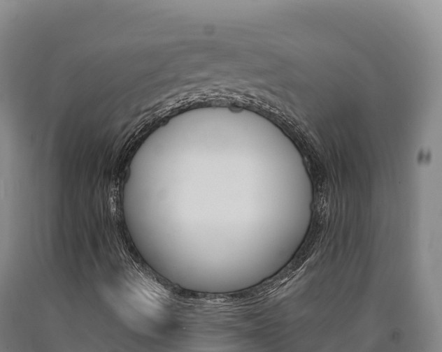 X0000090931490200707301104