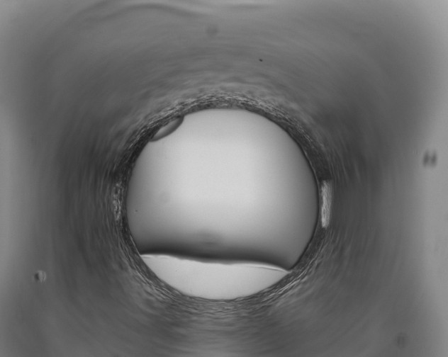 X0000090931491200707301104