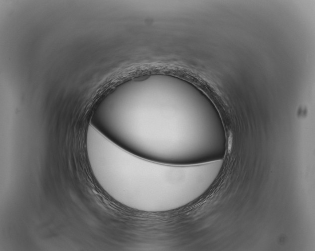 X0000090931492200707301104