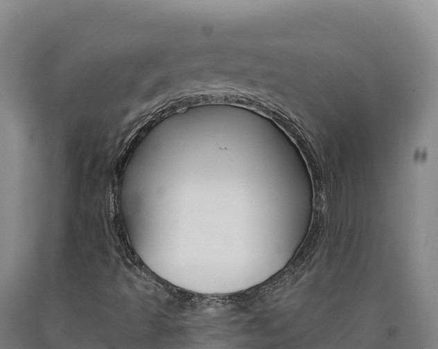 X0000090931493200707301104