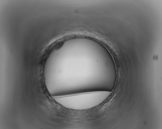 X0000090931494200707301104