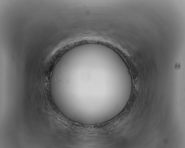 X0000090931495200707301104
