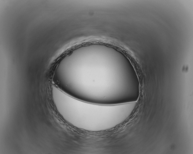 X0000090931496200707301104