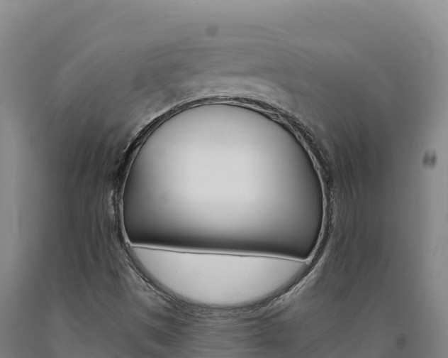 X0000090931497200707301104
