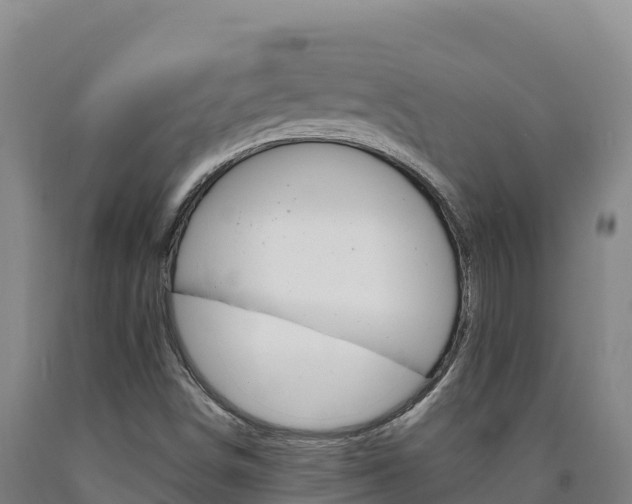X0000090931498200707301104