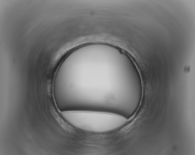 X0000090931499200707301104