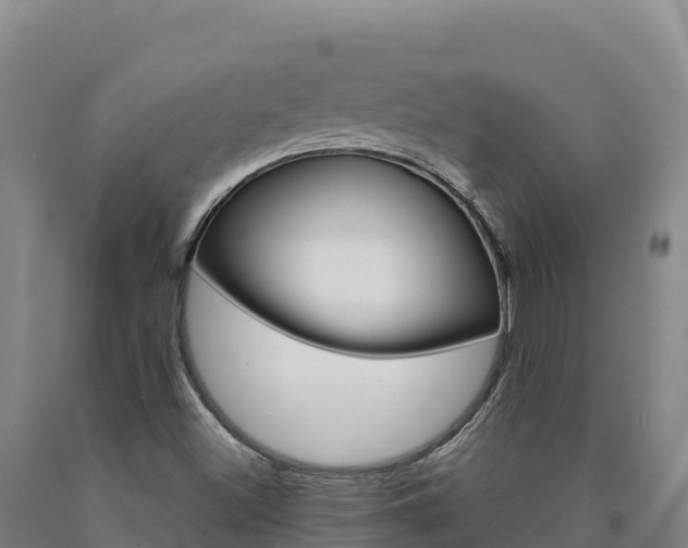 X0000090931500200707301104