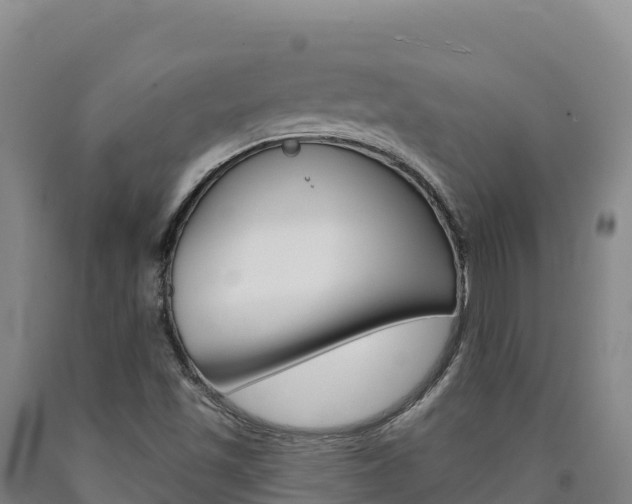 X0000090931501200707301104